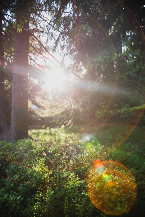 Turnovska Chata Kořenov Exteriér fotografie