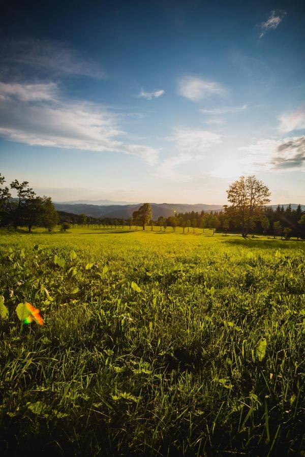 Turnovska Chata Kořenov Exteriér fotografie